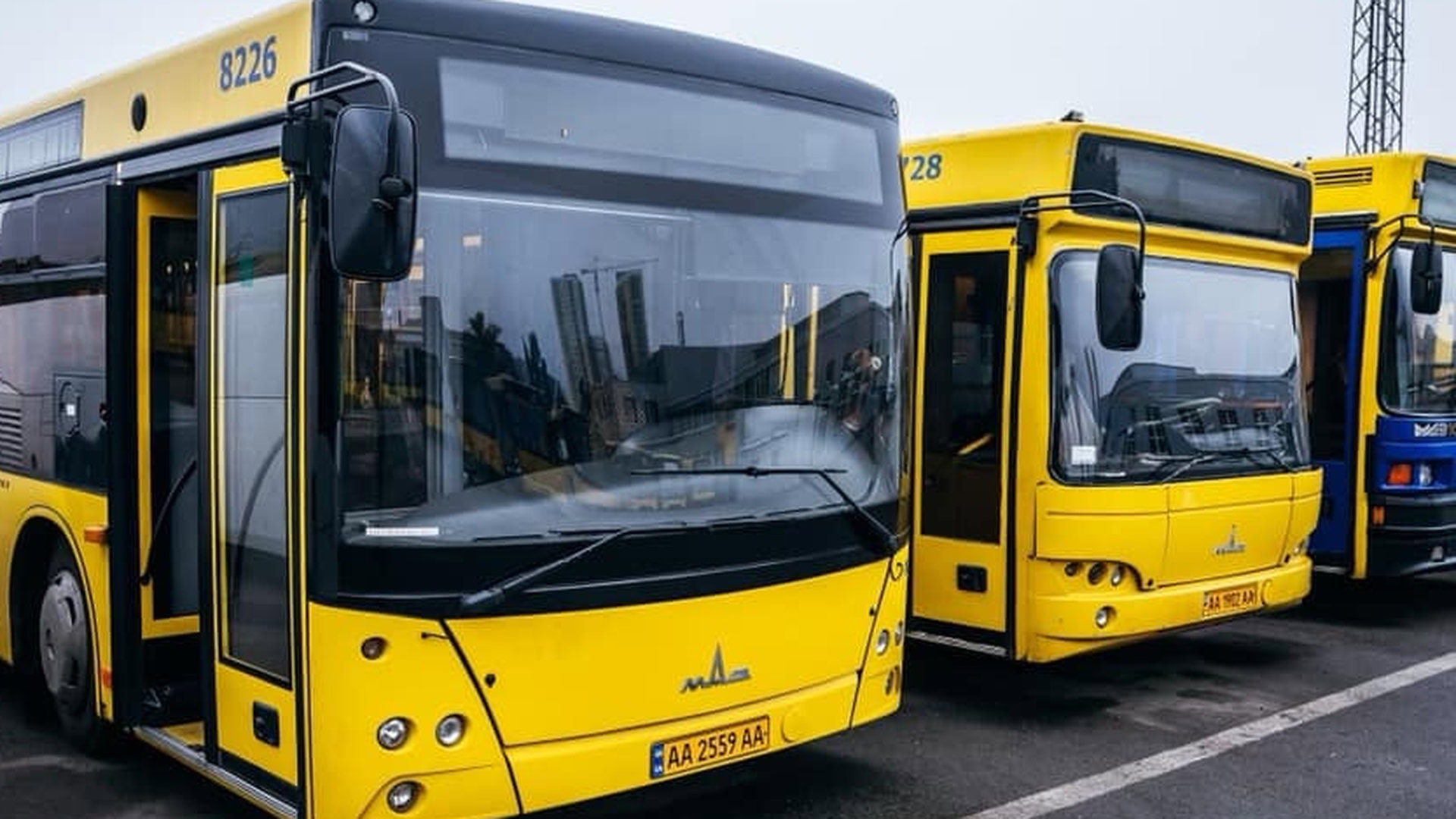 Три великі рейсові автобуси стоять в ряд на зупинці