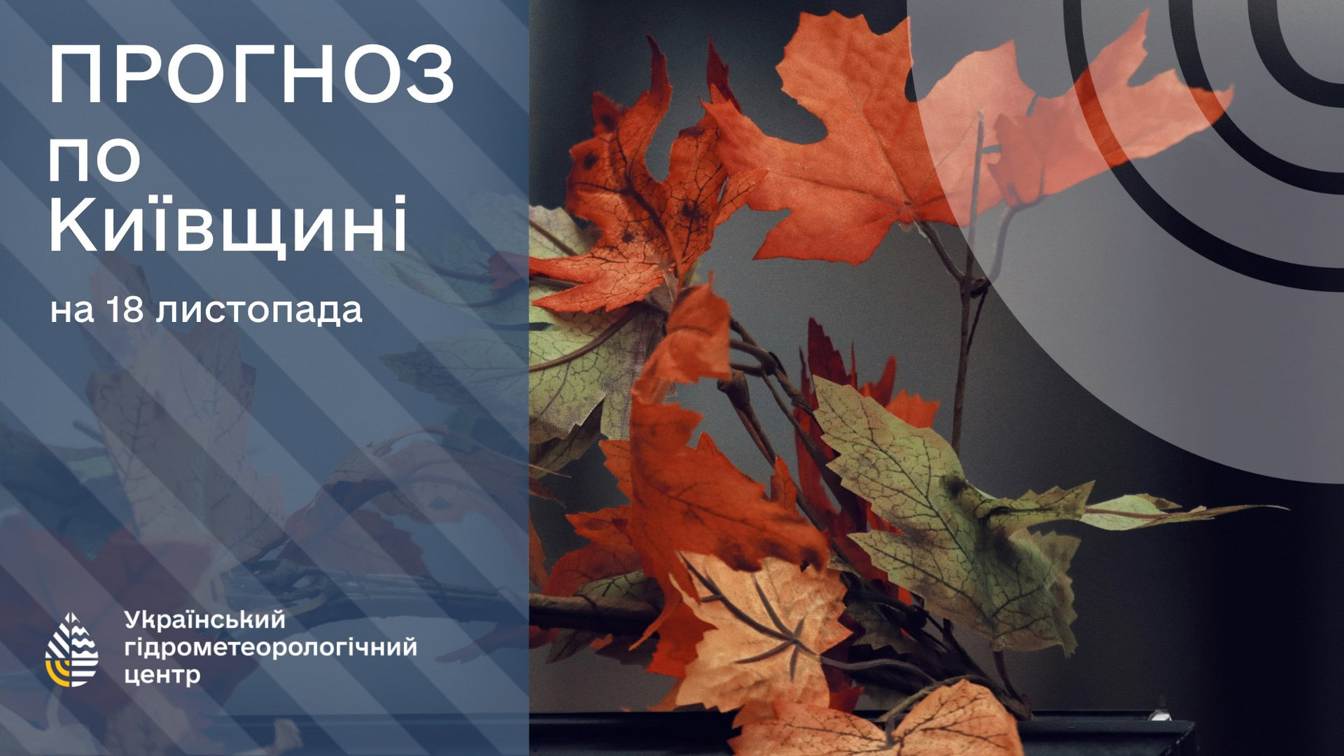 Червоне листя на осінніх деревах