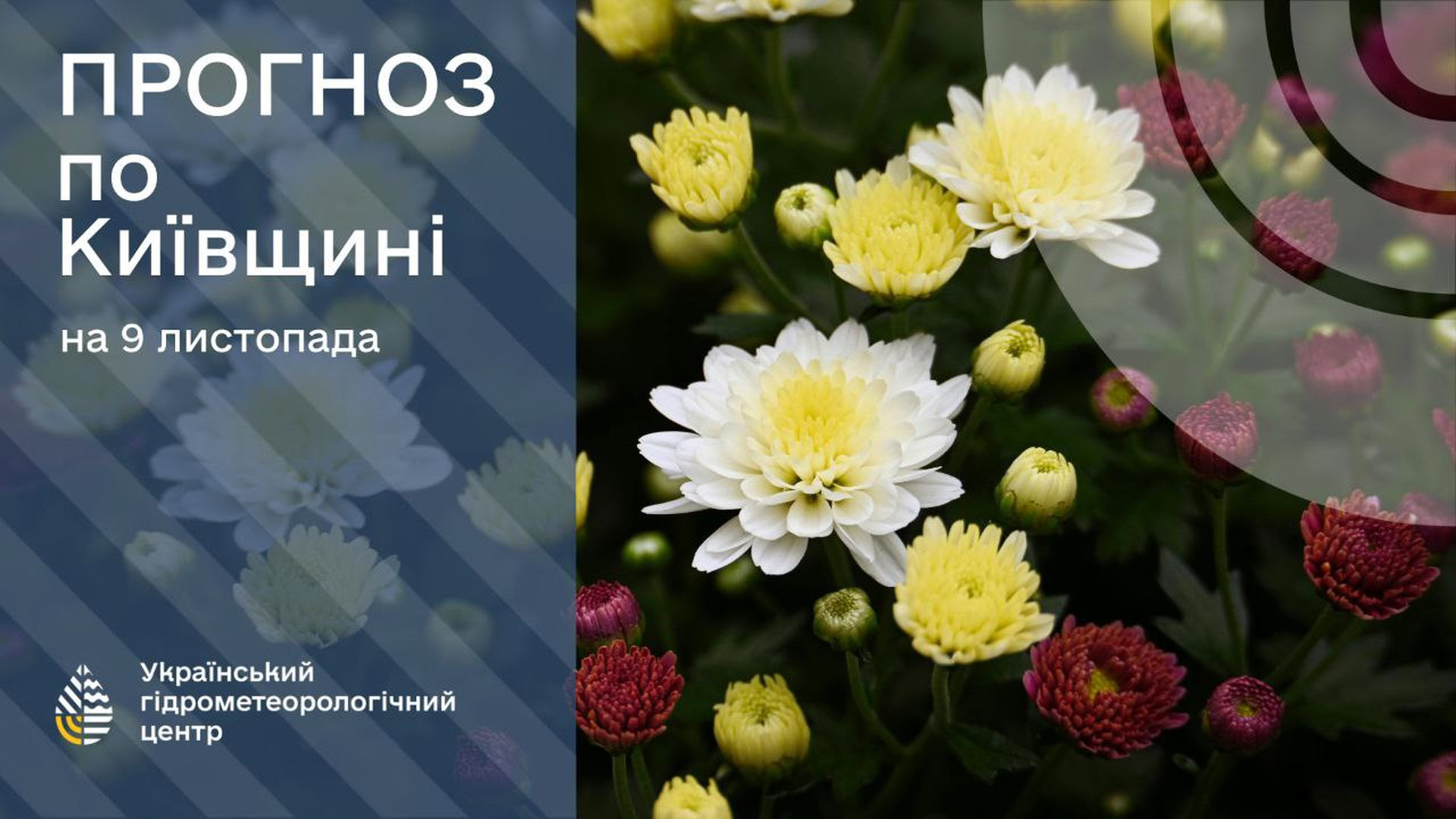 Інфографіка щодо погоди для Київщини на 9 листопада