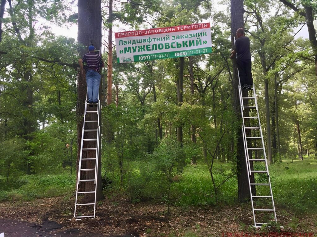 Еко парк в Ірпені і двоє людей на драбинах натягують плакат між деревами