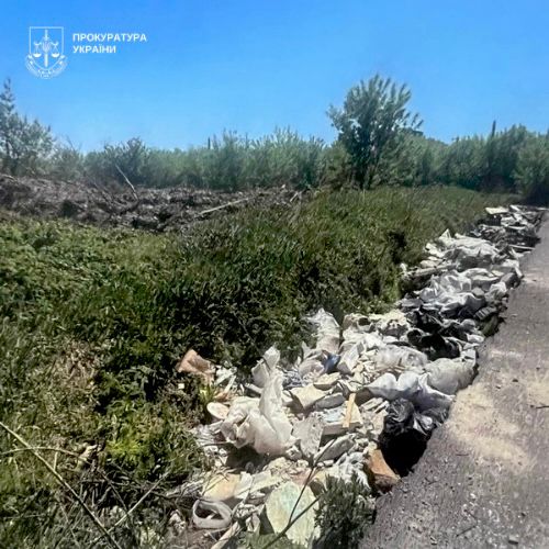 Київське підприємство через суд змусили прибрати смітник на своїй території Сміття на узбіччі дороги та в лісосмузі
