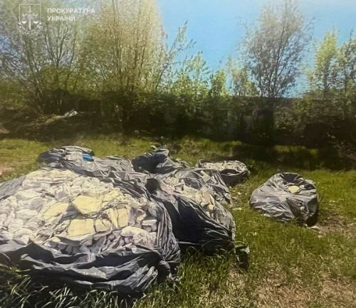 Київське підприємство через суд змусили прибрати смітник на своїй території Сміття на узбіччі дороги та в лісосмузі