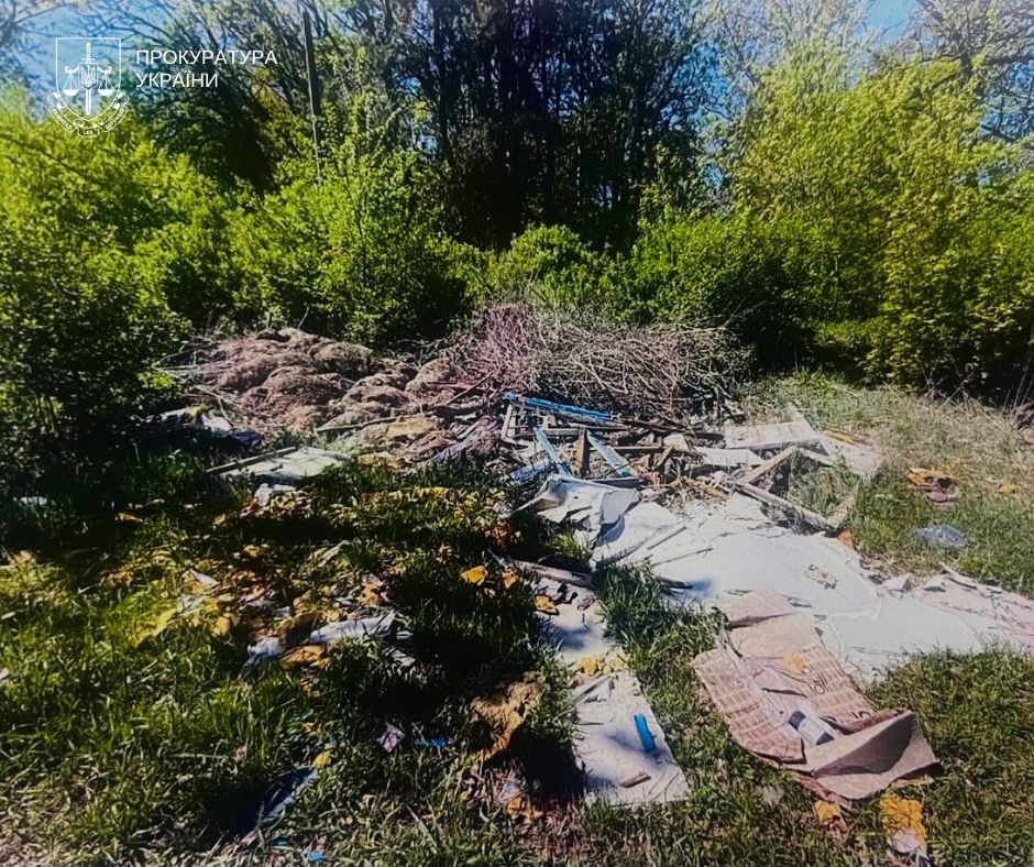 Київське підприємство через суд змусили прибрати смітник на своїй території Сміття на узбіччі дороги та в лісосмузі