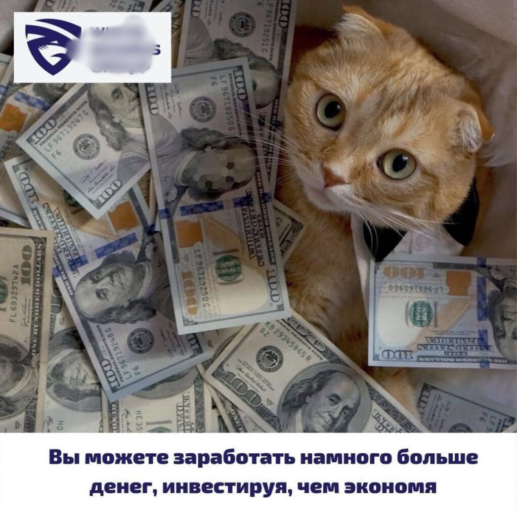 Кіт виглядає з купюр грошей