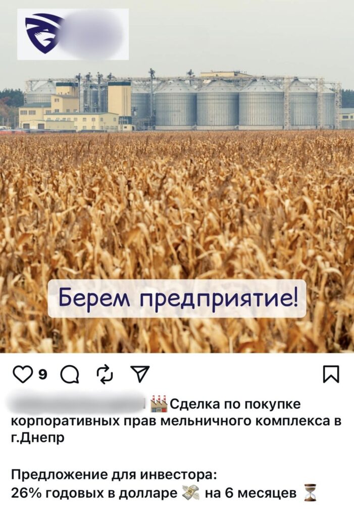 Поле пшениці