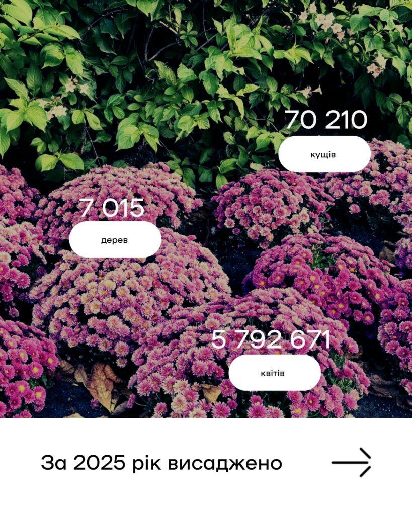 За 2025 рік висаджено 70210 кущів 7015 дерев 5792671 квітка
