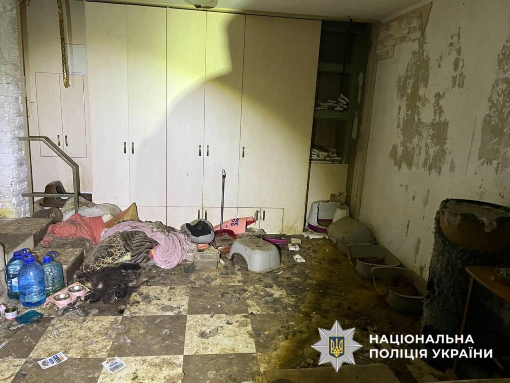 Кімната, за якою явно ніхто не слідкував де перебували тварини