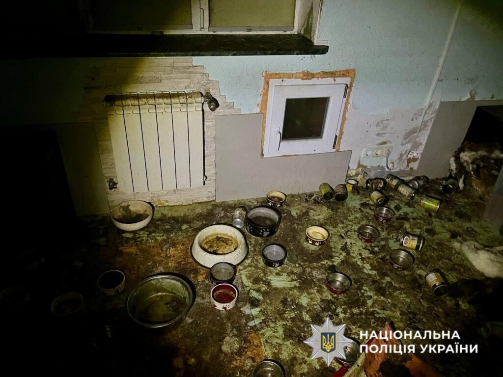 Брудні миски для їжі тварин