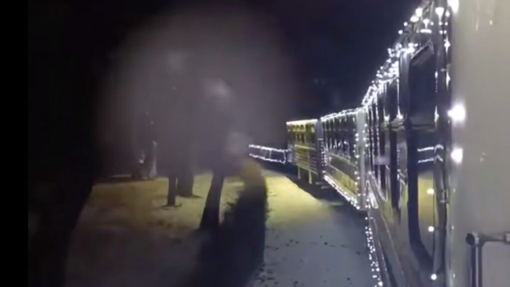 Київська дитяча залізниця працює до лютого: розклад і ціни на святкові потяги Київська дитяча залізниця працює до лютого: розклад і ціни на святкові потяги