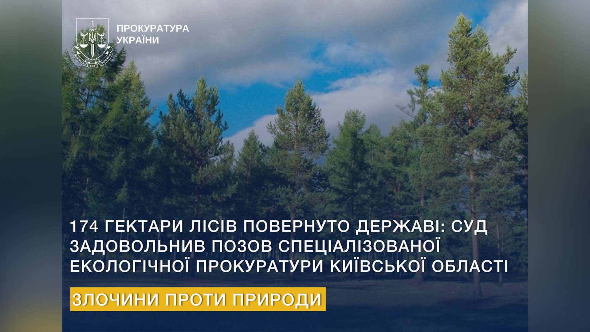 На тлі світлини з деревами у лісі інформація від прокуратури