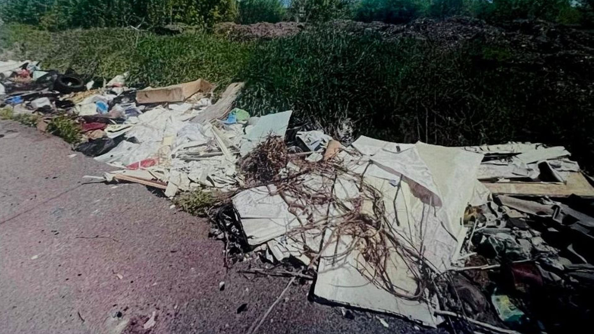 Габаритне сміття на узбіччі дороги