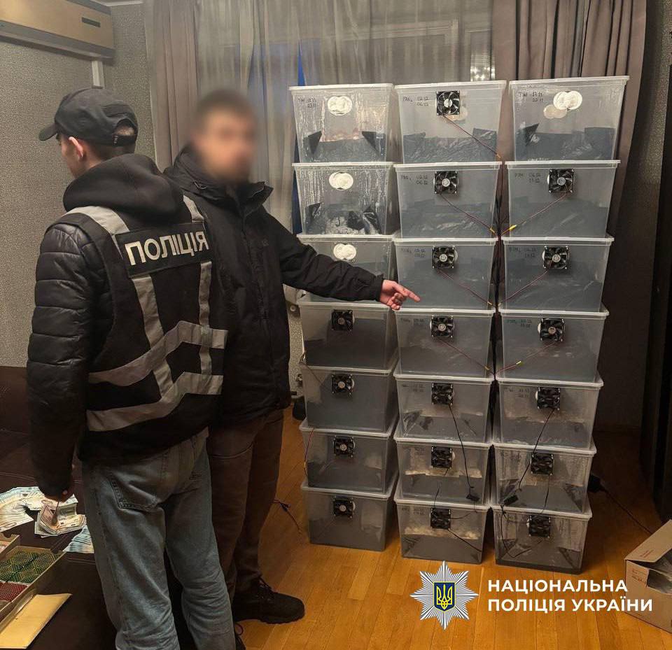 31-річний киянин вирощував гриби вдома та продавав у шоколадках по всій Україні 31-річний киянин вирощував гриби вдома та продавав у шоколадках по всій Україні