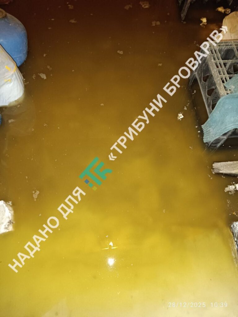 У Броварах будинок затопило нечистотами через КНС без генератора Грушевського, 21, цокольне приміщення затоплене нечистотами, складська кімната