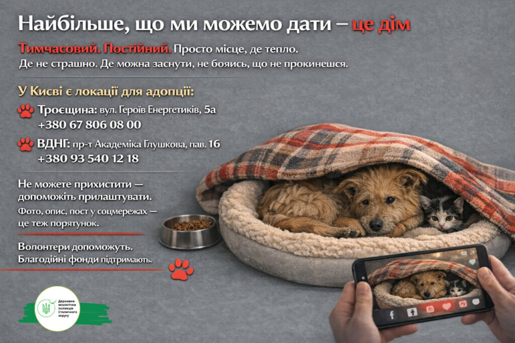 Зимові морози – смертельна загроза для безпритульних собак, котів і птахів, попереджає Державна екологічна інспекція Столичного округу