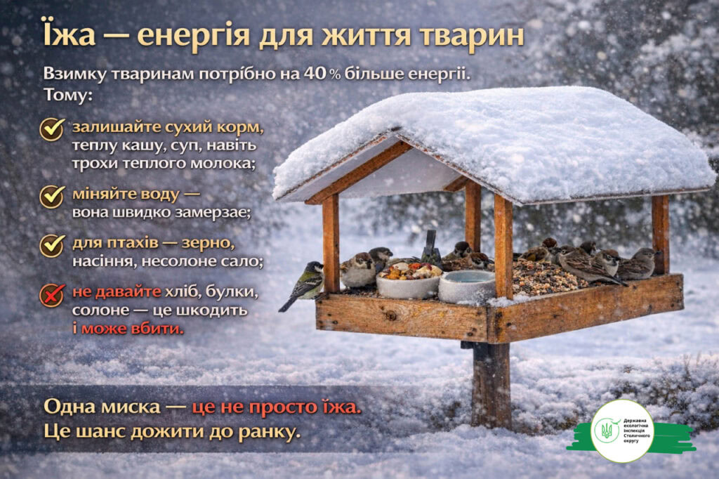 Зимові морози – смертельна загроза для безпритульних собак, котів і птахів, попереджає Державна екологічна інспекція Столичного округу