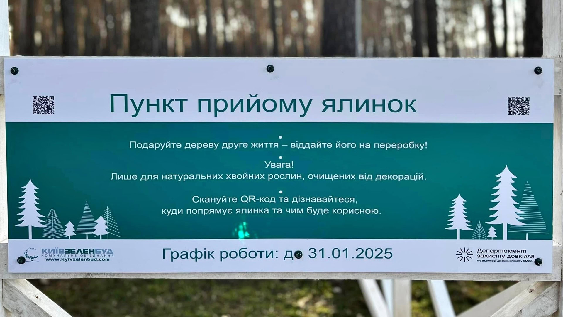 Вивіска на пункті прийому живих новорічних дерев