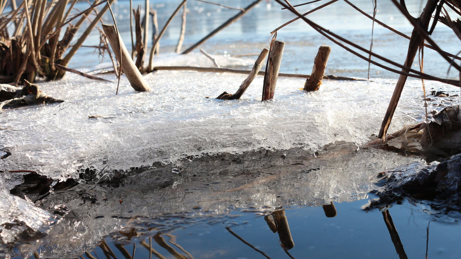 Крига на Дніпрі