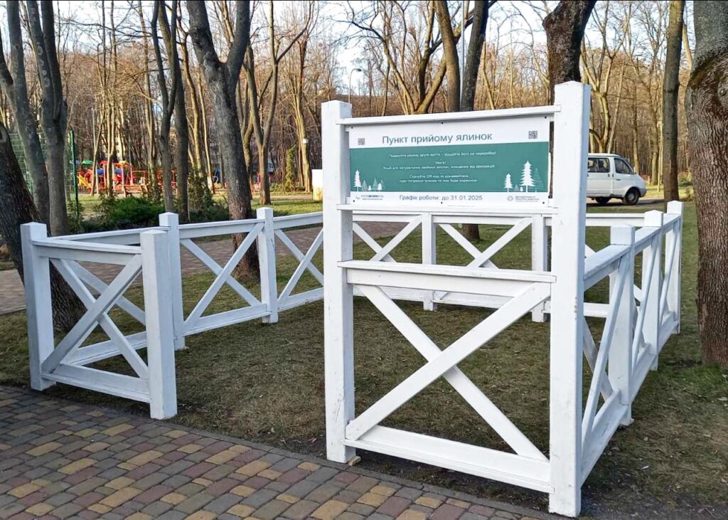 Пункт прийому живих новорічних дерев