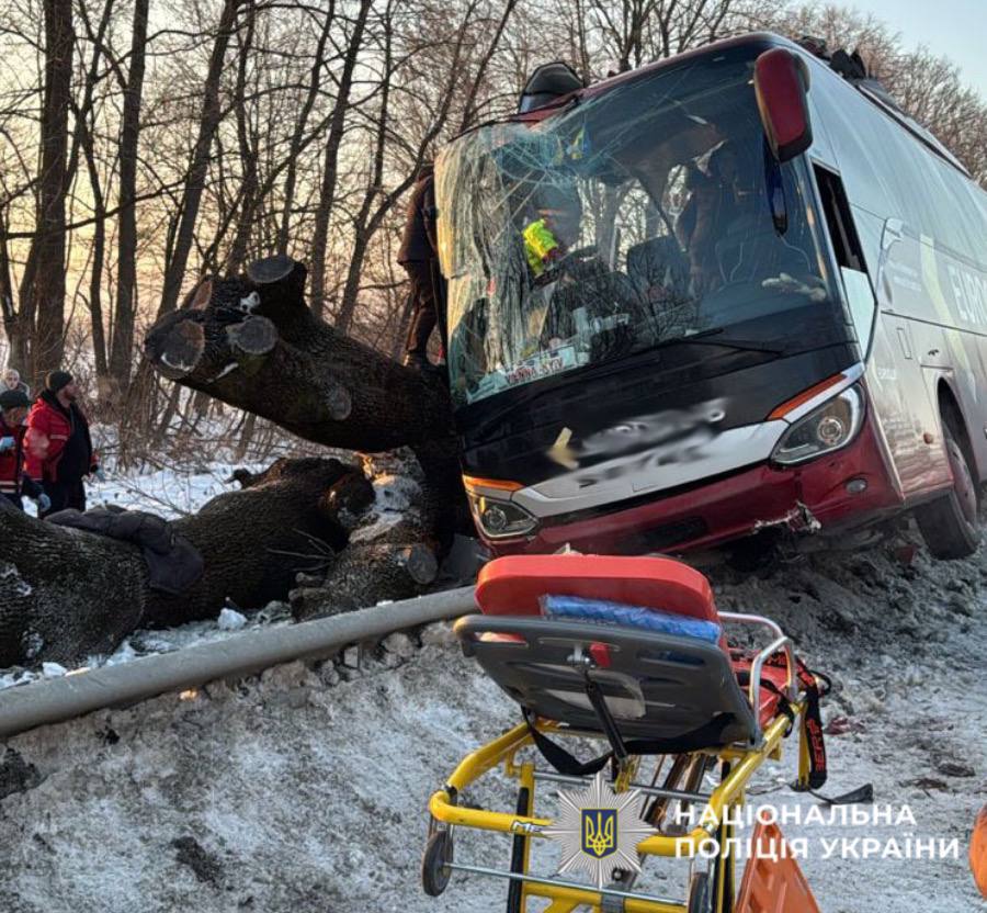 Автобус «Відень-Київ» врізався в дерево на Львівщині: 7 госпіталізовано