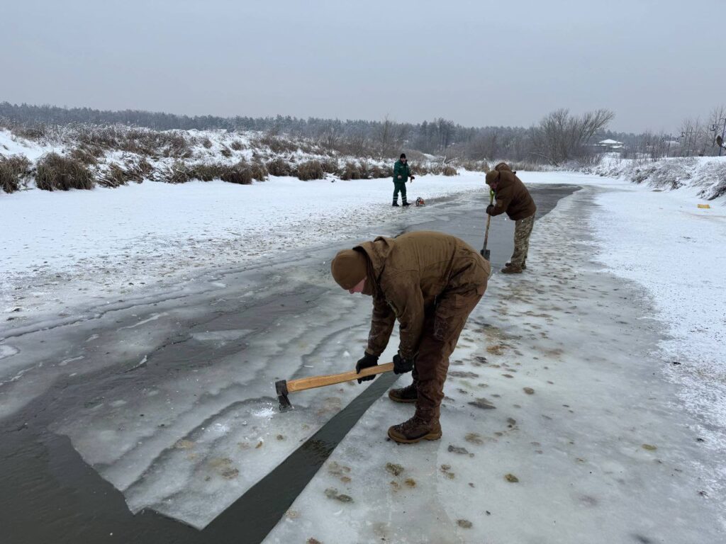 В Ірпені розколюють лід для качок та лебедів В Ірпені розколюють лід для качок та лебедів