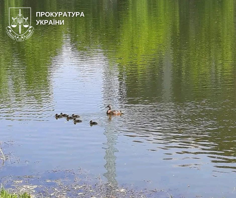 Прокуратура вимагає встановити межі заказника «Совська Балка»