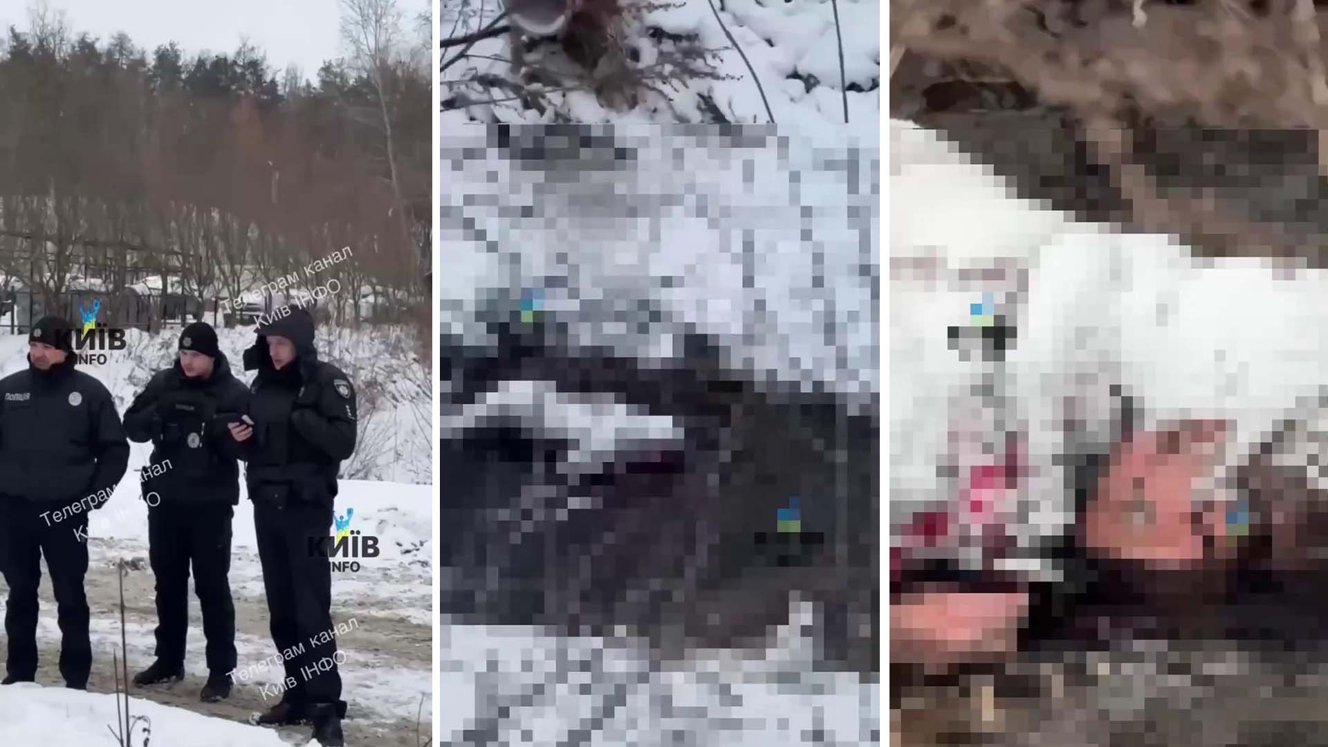 Кадри з відео знаходження загиблої жінки
