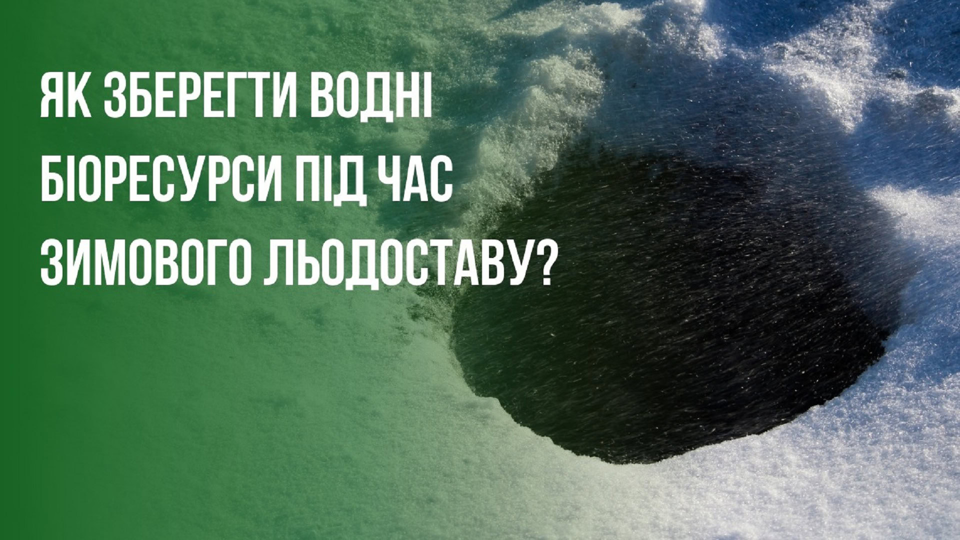 Крига і ополонка