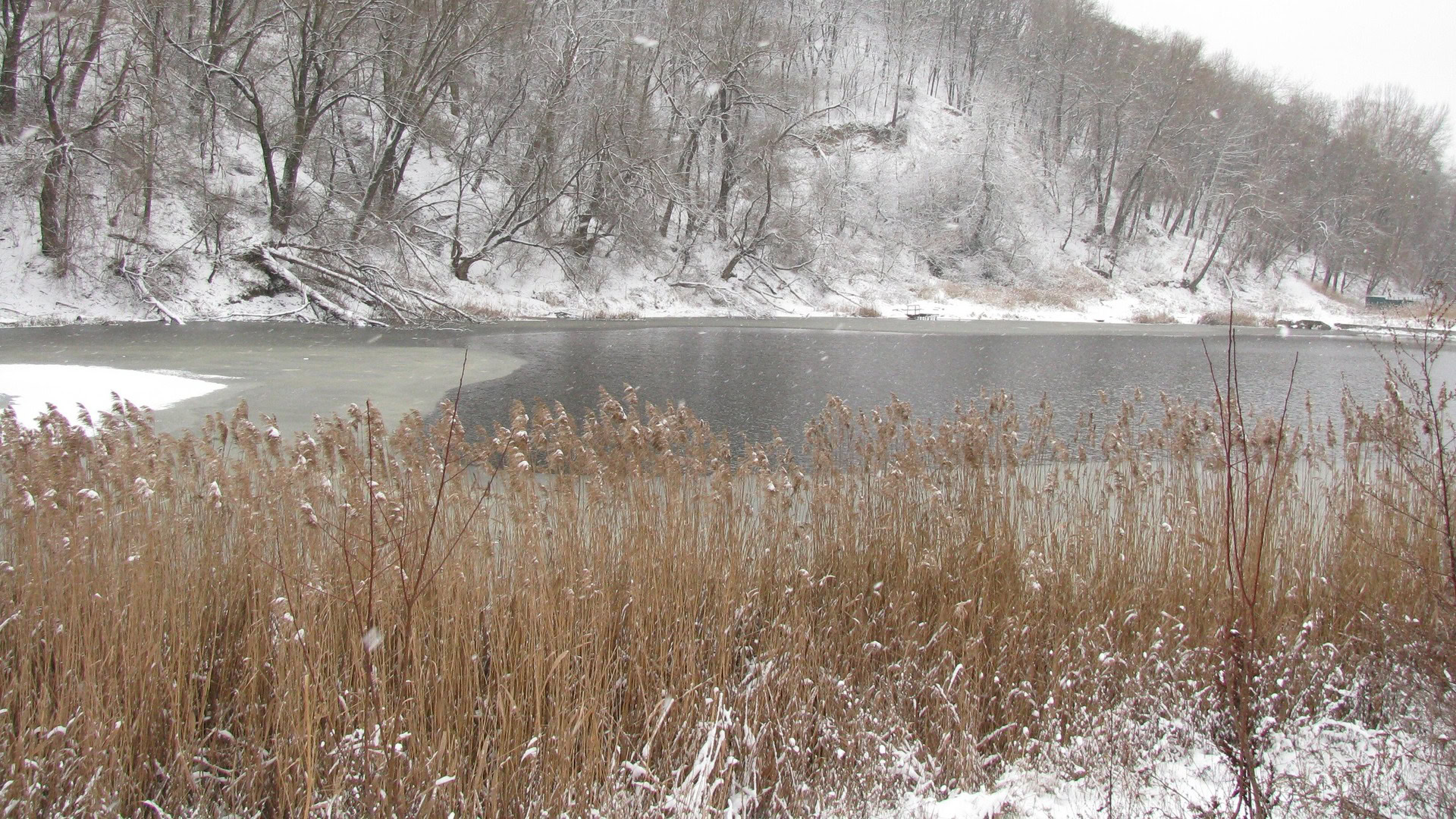 Погода на вихідні в Україні: спокійна, але з локальними дощами та грозами Зимова річка Київщини з частково розтаненим льодом, очеретом на передньому плані та засніженими деревами на березі