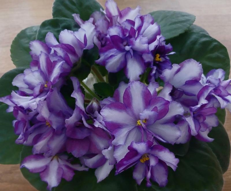 Куди піти у Києві на День закоханих: Джаз-клуб на Русанівці Куди піти у Києві на День закоханих: Джаз-клуб на Русанівці