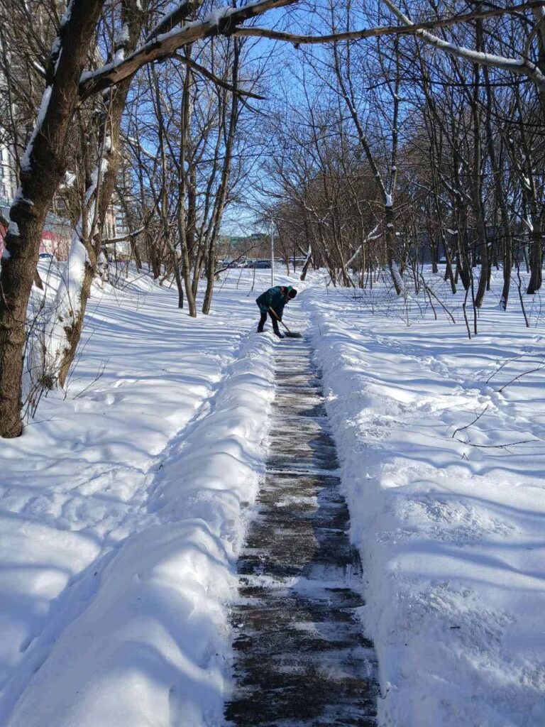 146 одиниць техніки розчищають дороги Києва від снігу