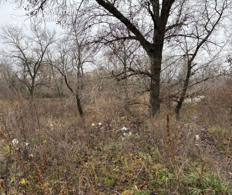 Прокуратура через суд вимагає повернути 4 га землі біля затоки Берковщина