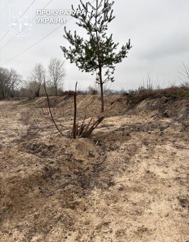 Прокуратура через суд вимагає повернути 4 га землі біля затоки Берковщина
