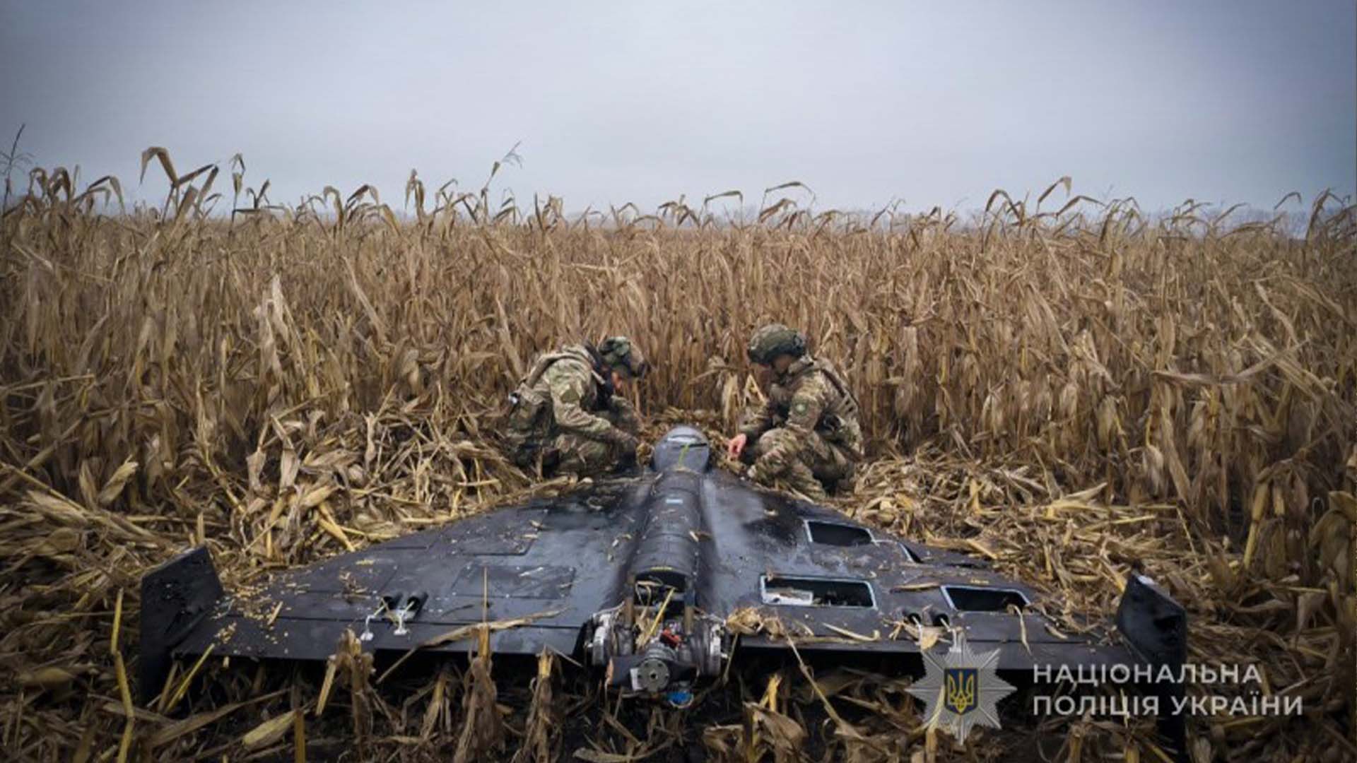 У Святошинському р-ні горять авто й гараж, двоє постраждалих Двоє саперів поліції знешкоджують збитий дрон Shahed на пшеничному полі