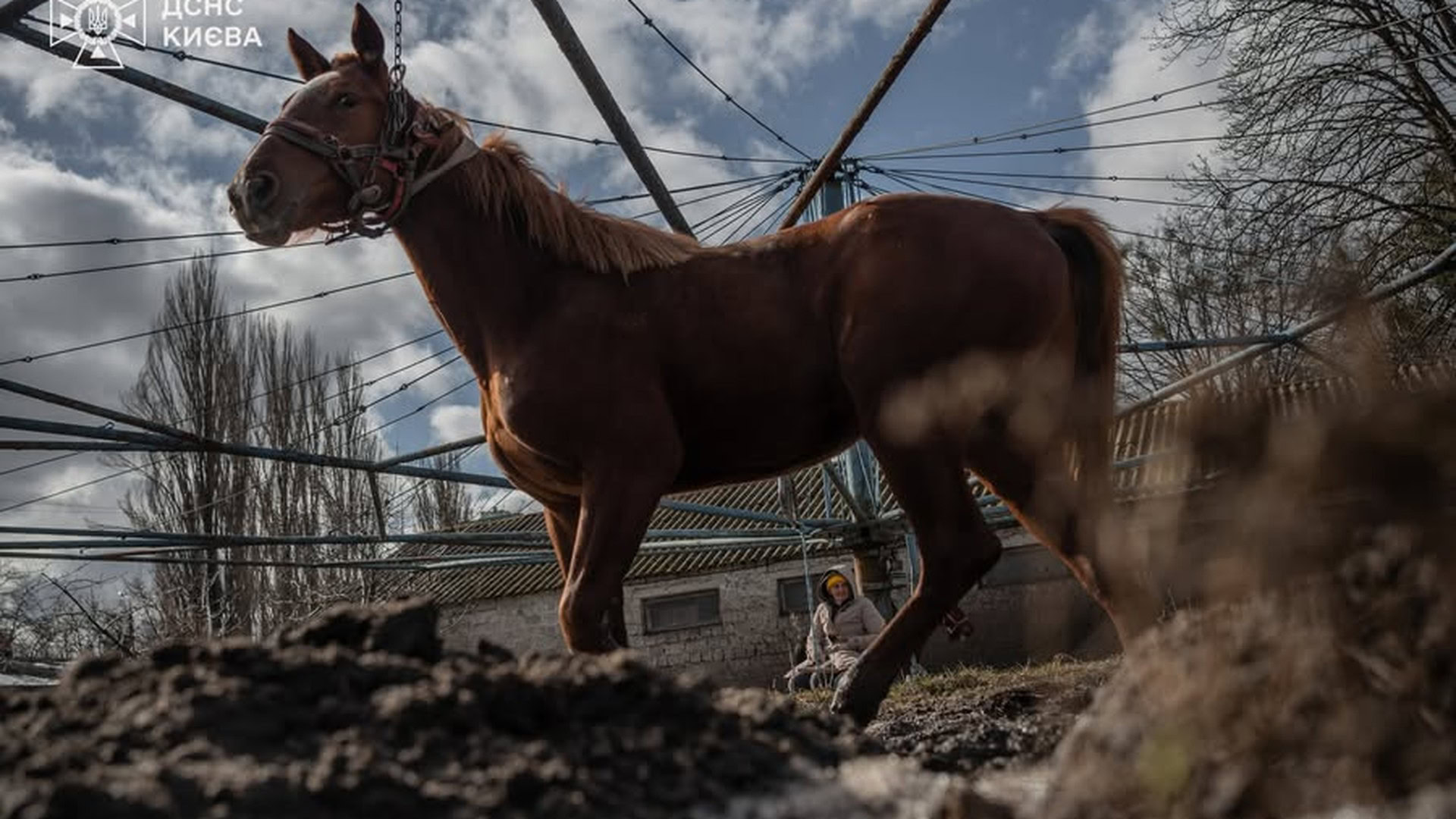 Головні новини Києва | Kyiv.News