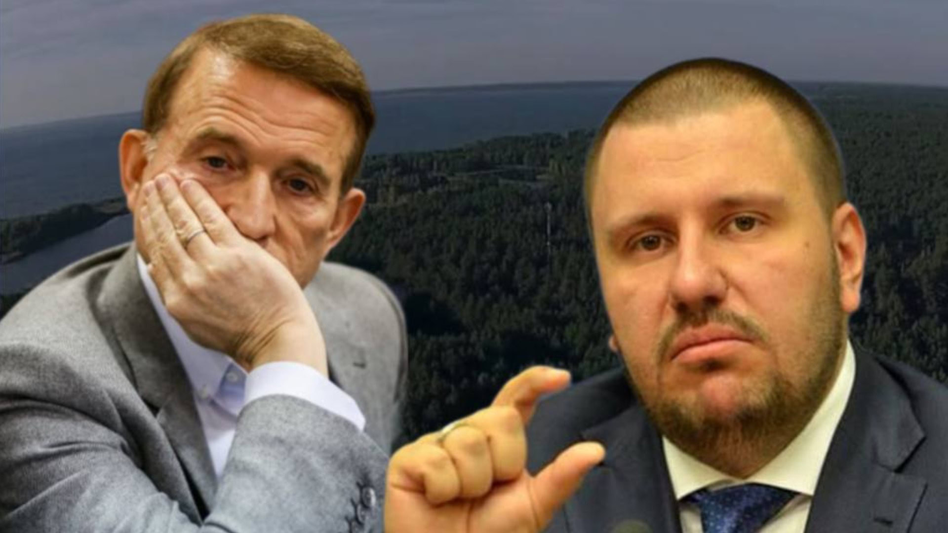 Київська обласна прокуратура повернула державі 9,5 га лісу в Бориспільському районі, пов'язаного з Медведчуком і Клименком