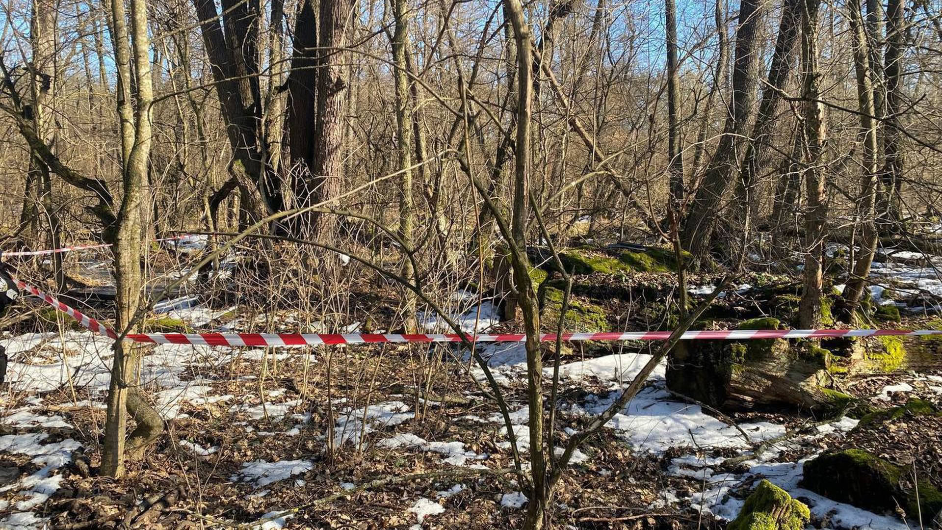 Посадовця Держрибагентства підозрюють у брехні в декларації на 3,5 млн грн Поліцейське огородження місця виявлення нездетонованої боєголовки ворожого дрона в лісопарку поблизу села Лісники