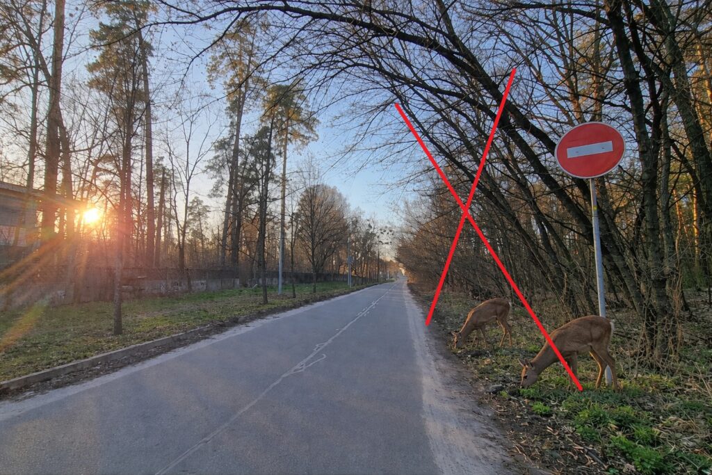 Пуща-Водиця: ЛЕП ДТЕК може знищити зелений тунель вул. Лісна