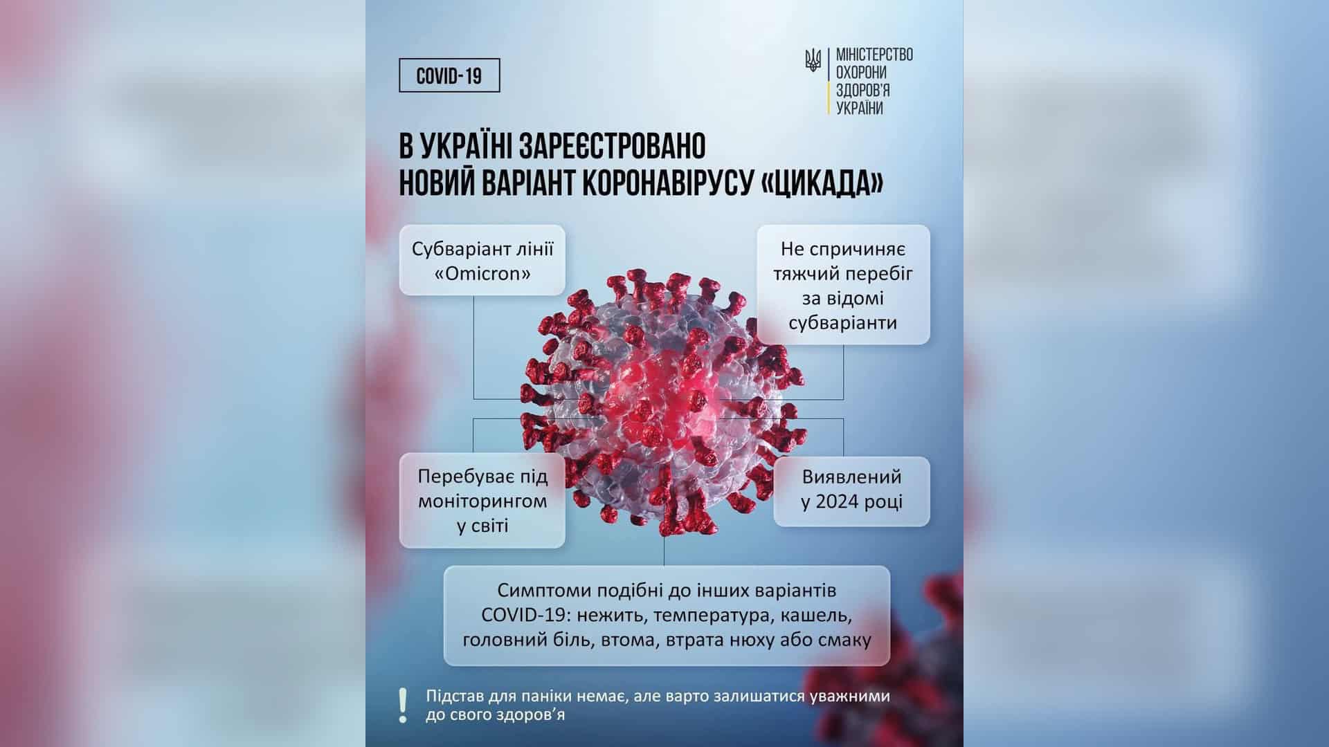 Інфографіка МОЗ України про субваріант COVID-19 «Цикада»: субваріант лінії Омікрон, не спричиняє тяжчий перебіг, симптоми — нежить, температура, кашель