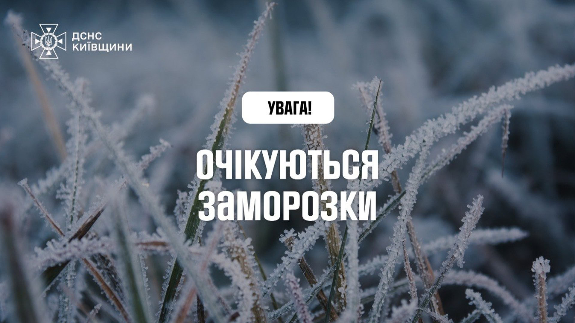❕**Увага! В Україні очікуються заморозки** Вночі, 14 квітня, в Україні, крім Закарпаття та східних