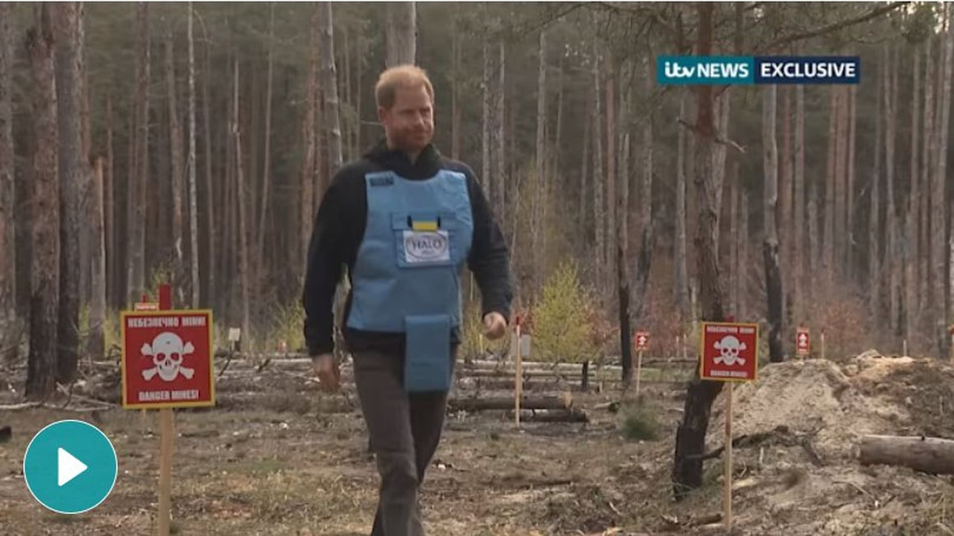 Принц Гаррі у синьому жилеті HALO Trust іде розмінованим лісом поблизу Бучі на Київщині з табличками Небезпека міни