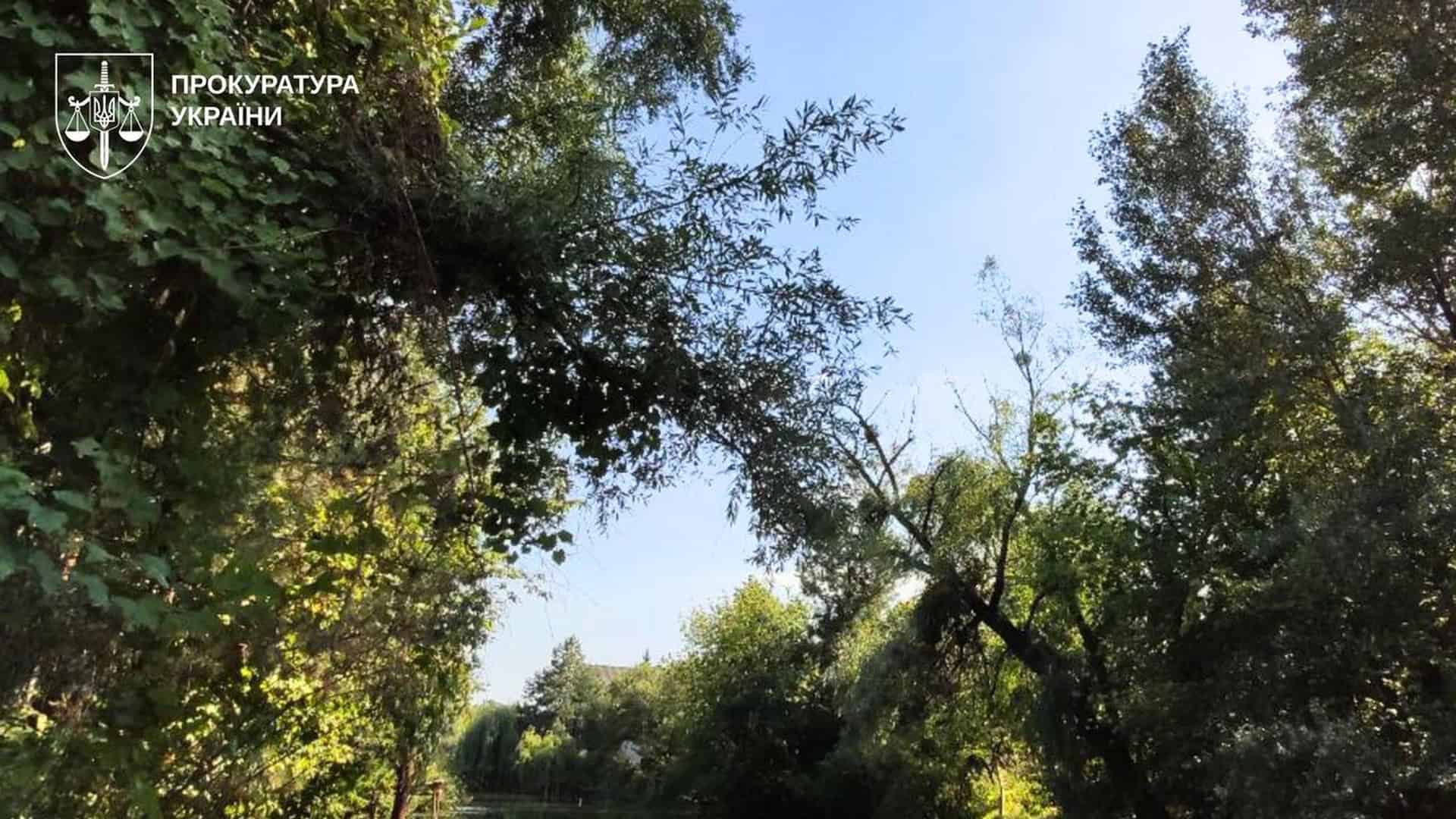 Природний ландшафт урочища Горбачиха на лівому березі Дніпра в Києві — річкова протока серед дерев та зелені