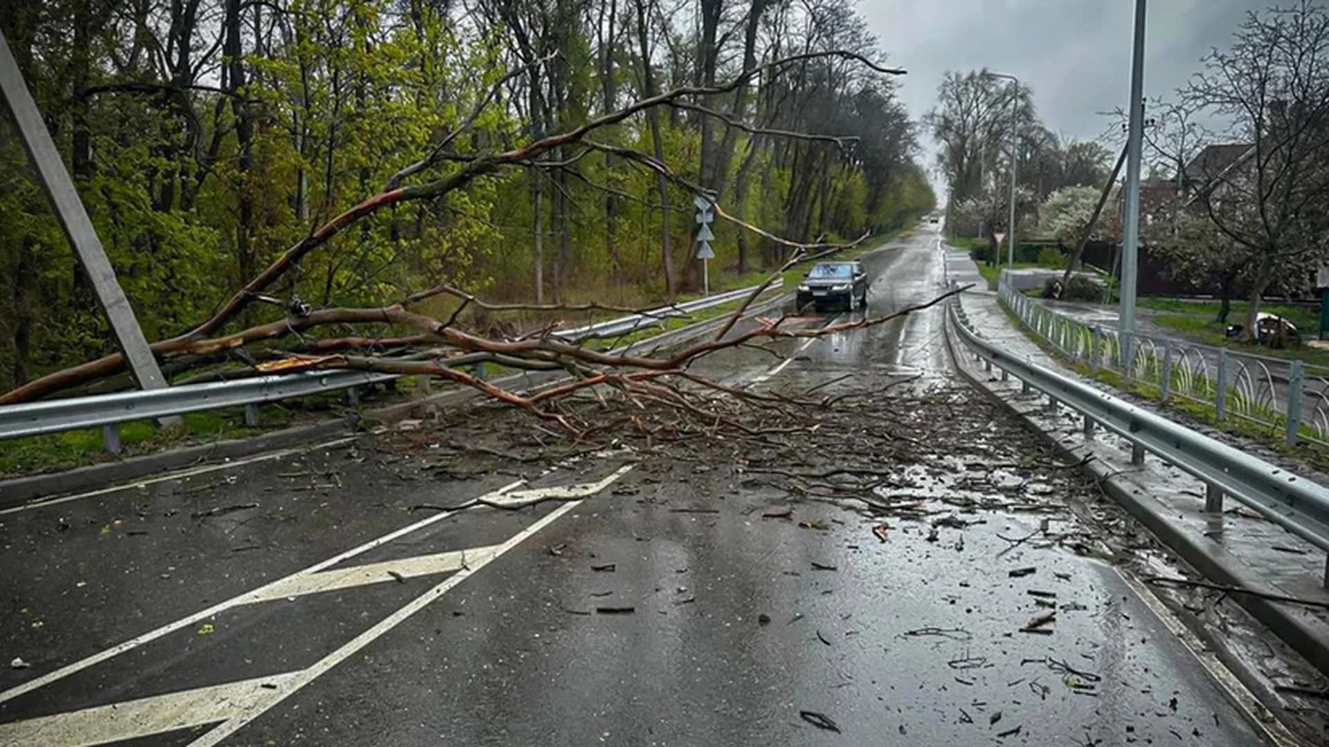 Повалене дерево перекрило дорогу після негоди в Київській області — наслідки шторму 26–27 квітня 2026 року