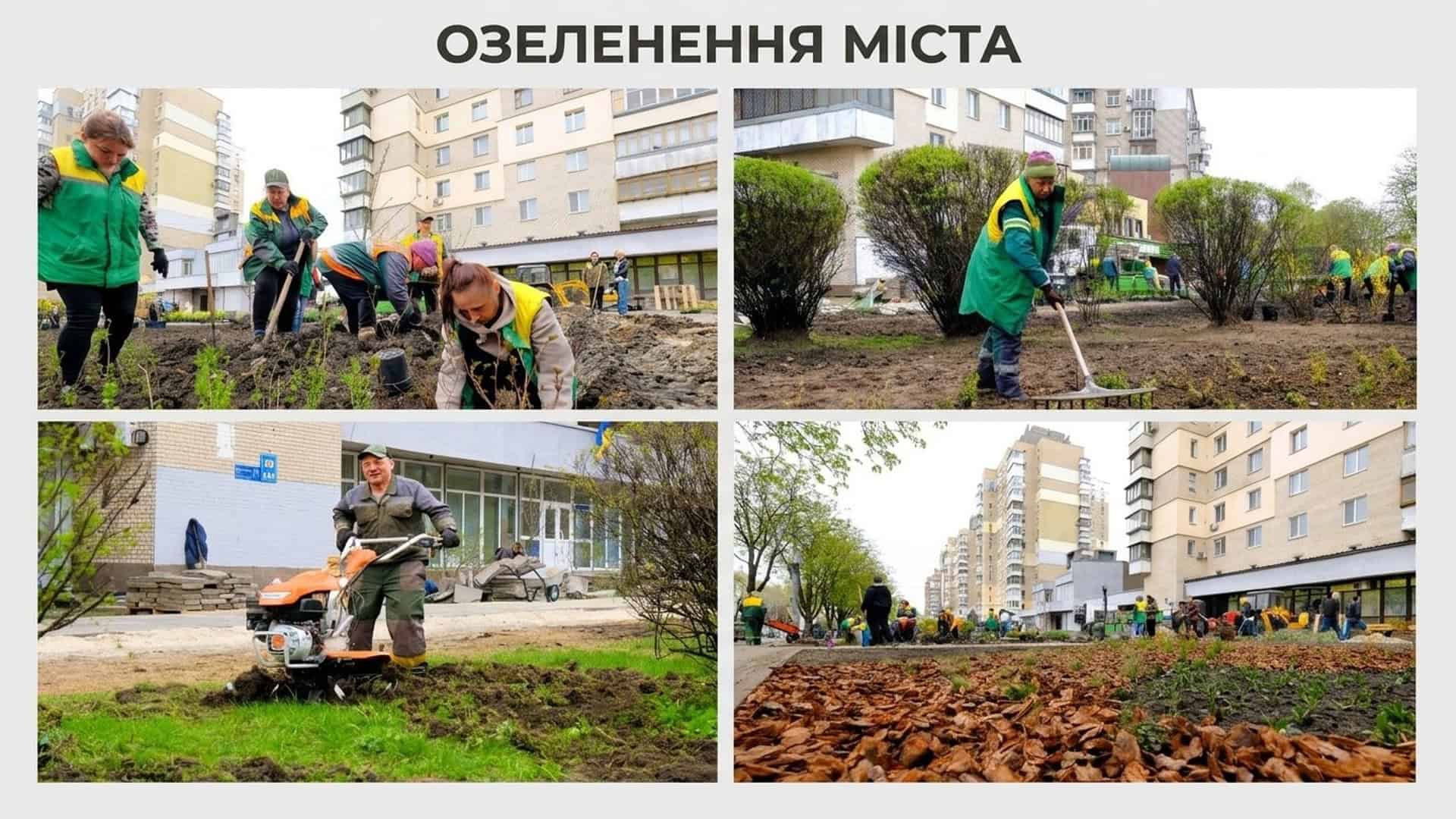 Колаж з чотирьох фото роботи комунальників у зелених жилетах на проспекті Повітряних Сил у Києві: висадка кущів, мотоблок, підготовлені ділянки з мульчею для майбутніх клумб