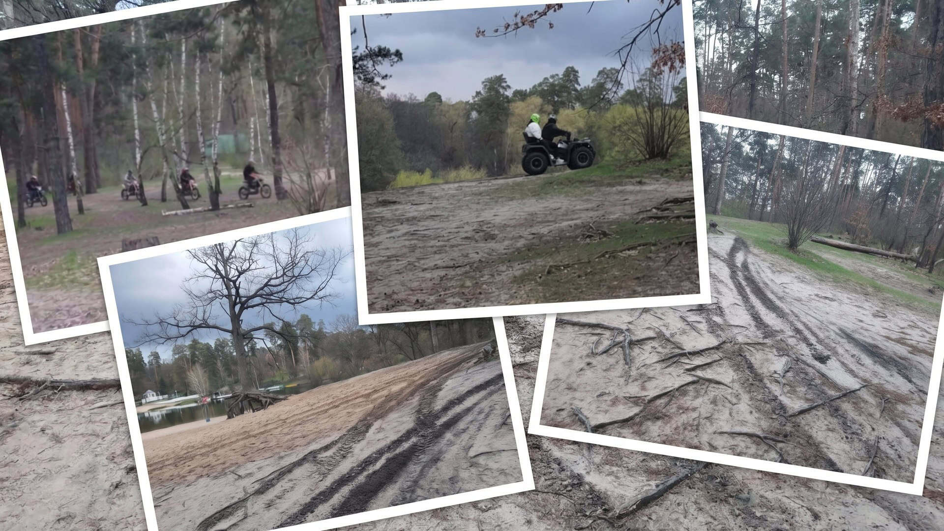 Квадроцикли і мотоцикли їздять по лісу Пущі-Водиці, руйнуючи ґрунт і коріння дерев під час сезону тиші 18 квітня 2026 року в Києві