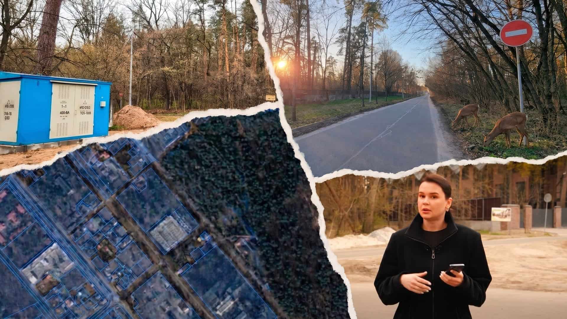 Трансформатор ДТЕК, аерофотознімок та журналістка 1+1 на місці незаконної забудови 10 гектарів заповідного лісу в Пущі-Водиці