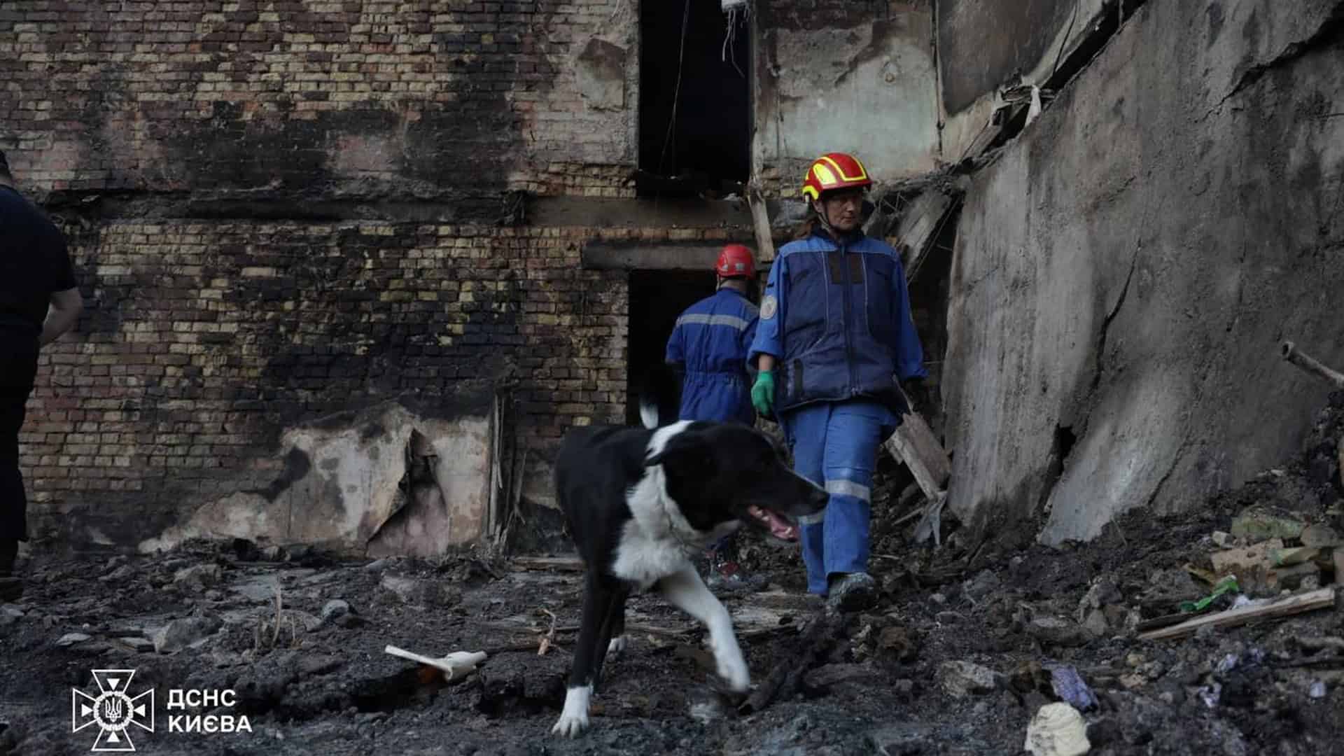 Рятувальниця ДСНС Києва з пошуковим собакою серед руїн зруйнованого будинку після масованої ракетної атаки 24 травня 2026 року