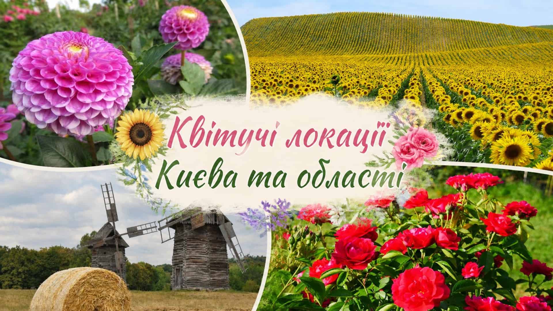 «Хата на Пріорці»: музей, де Шевченко провів останні дні в Києві у 1859-му Квітучі локації Київщини: жоржини, соняшникове поле, троянди та вітряк у Пирогові — колаж для літнього гіду по паркам і природних зонах
