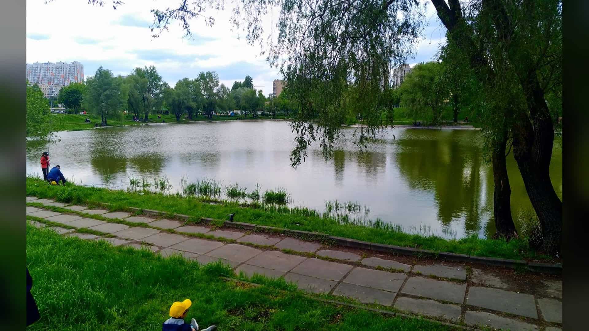 Ставок № 14 на річці Нивка у Святошинському районі Києва — місце майбутньої зони активних розваг на вулиці Верховинній