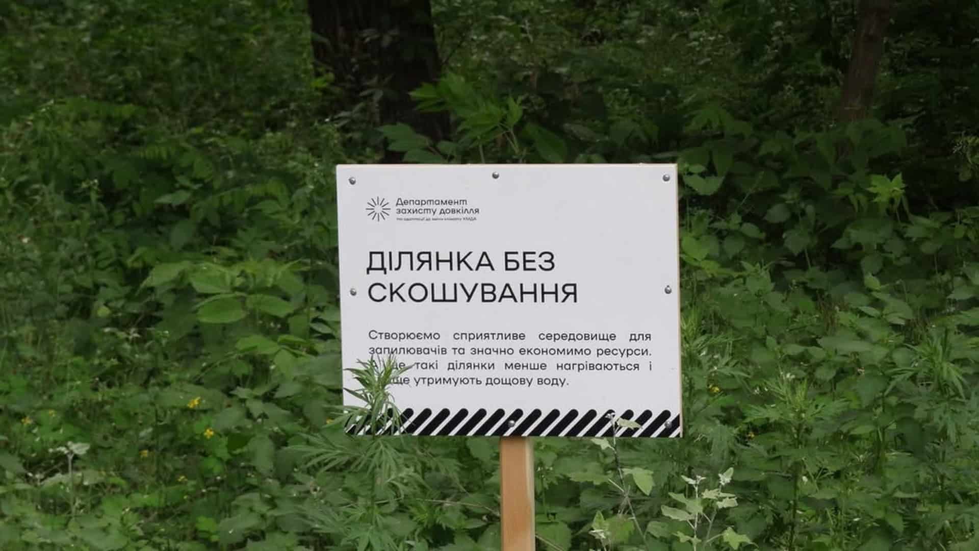Мости Києва у 2026 році: 85 із 175 аварійні, ремонт забере роки і мільярди Табличка «Ділянка без скошування» Департаменту захисту довкілля КМДА серед високої трави в зеленій зоні Києва