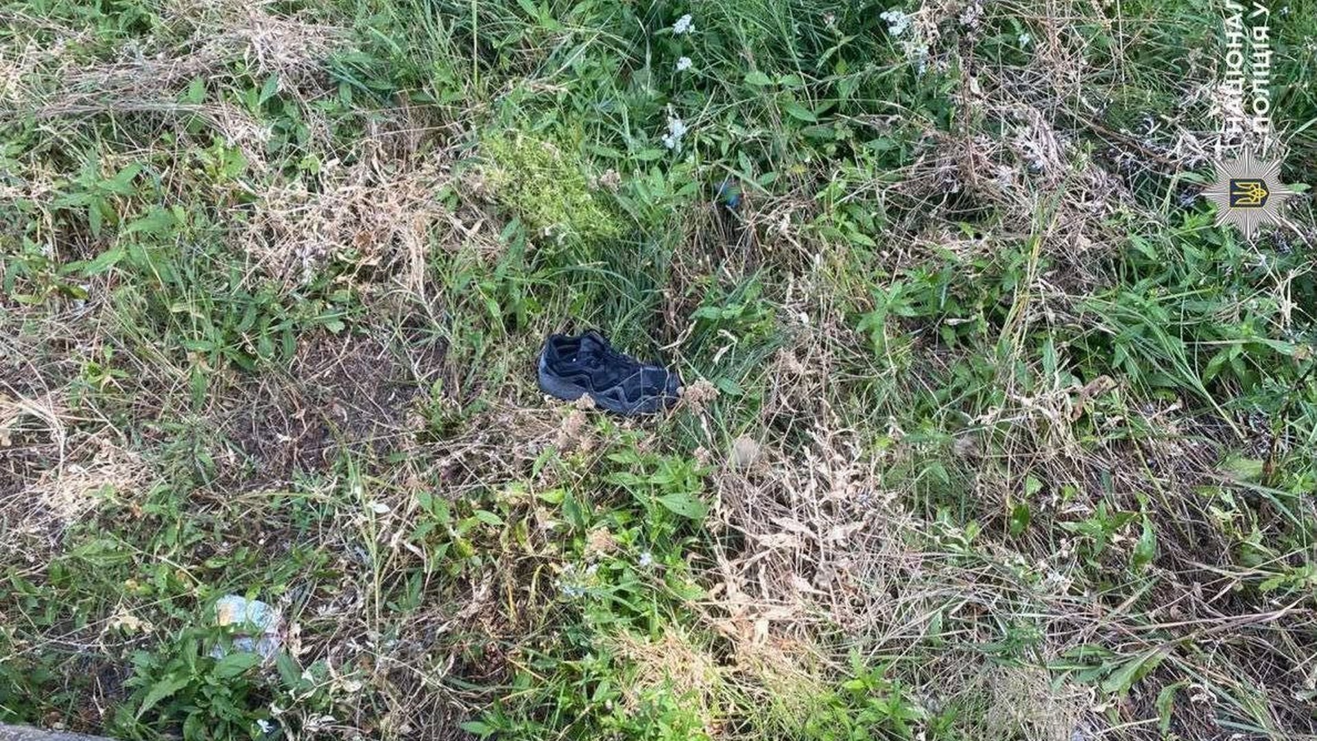 У Києві від початку року створили 6 кишенькових скверів Кросівок на траві поблизу залізничної колії на станції у Малій Олександрівці, де правоохоронці виявили тіло підлітка